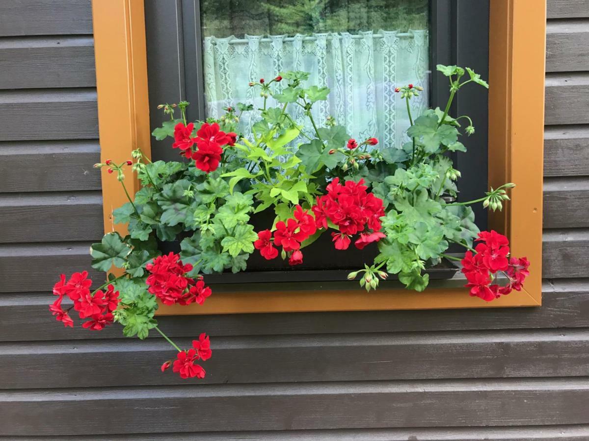 Ferienhaus Bergfee Klippitztorl Eksteriør billede